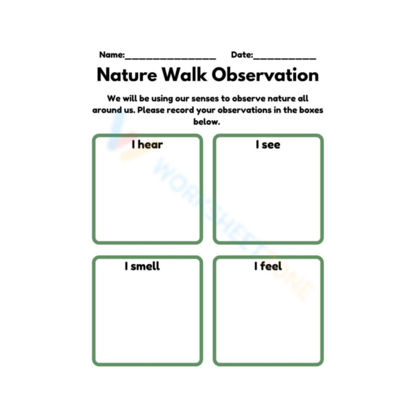 Digital Observation Worksheet Pack